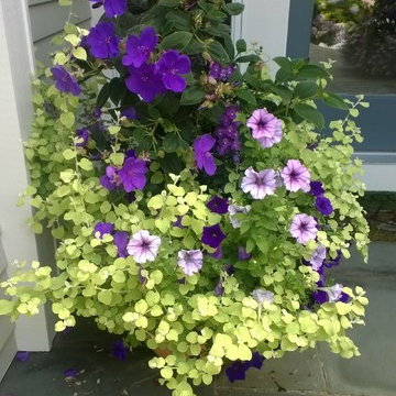 Willowbend Flower Garden with edibles