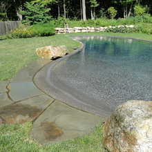 free form and natural pools