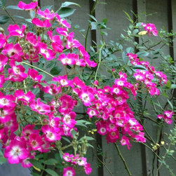 Soillandscape  xmiddle ga  xmacon ga  xmilledgeville ga  xelemental thought  xla - Products