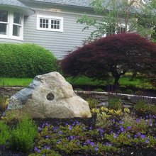 Landscape Ideas