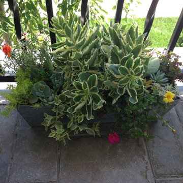 Container Gardens