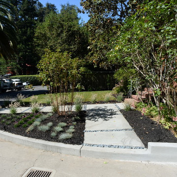 Fernandez Residence - Kentfield