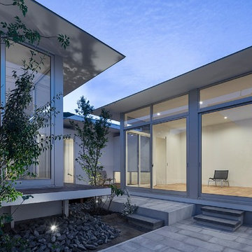 Wall