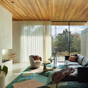 Modern Living Room