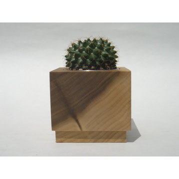 Modern Succulent Planter, Poplar, 3x3x3