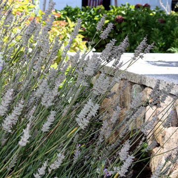 Perennial gardens