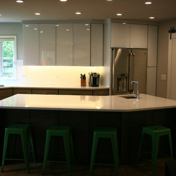 Midcentury Remod & Addition