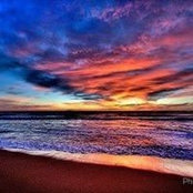 Stephanie Papia's photo