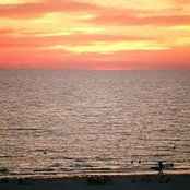 Sandy Madill's photo