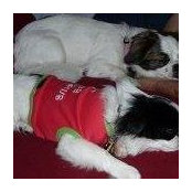 Maria Antonopoulos's photo