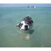 Lizzie Cook's photo