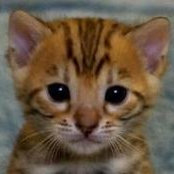 Kathy Van Der Linden's photo