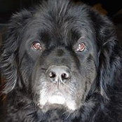 Lori McConnell's photo