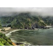 Penny Phillips's photo