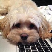 Sigal Witkin's photo