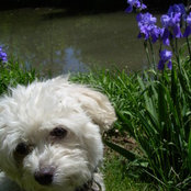 Amy Nolan's photo