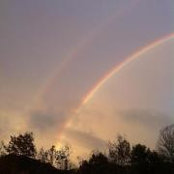 Danielle Manning's photo