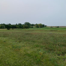 New Lots