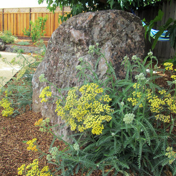 Laurence Residence - South San Jose, California