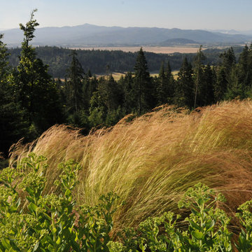 Meadow Planting