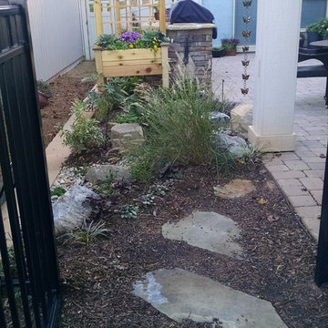 Courtyard Landscape