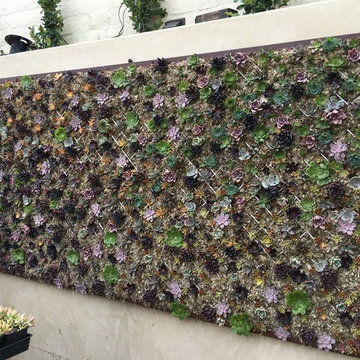 Dana Point Philharmonic House of Design