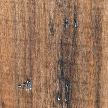 Walnut Built In Cabinetry