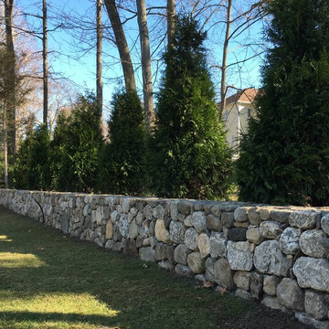 Finished wall planted with 'Green Giant' Arborvitae