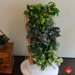 Living Wall - Products