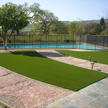 Backyard Renovations