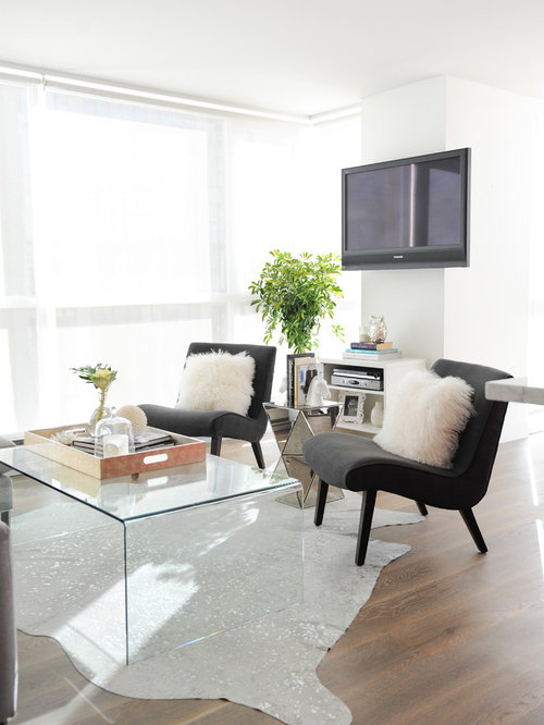 Best 15 Budget Contemporary Living Room Ideas | Houzz