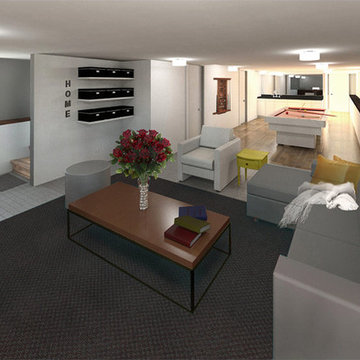 Chicago Remodel