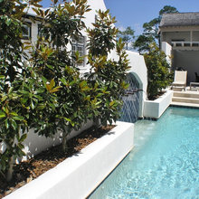 back yard