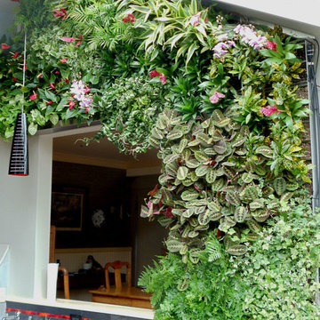 Residential Interiorscape Atrium Design