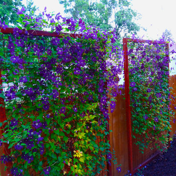 Custom Metal Trellis with Rusted Patina becomes a Living Screening Element