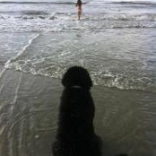 Jenny Tumey's photo