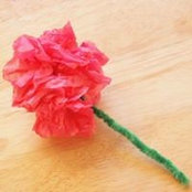 Silvia Silbert's photo