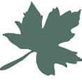 Outdoor Design & Living's profile photo