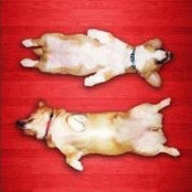 Anne Krueger's photo