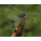 Donna Outlaw's photo