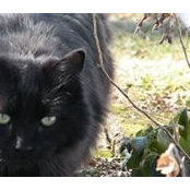 Vicki Hanley's photo
