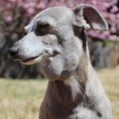 Anni Bacchus's photo