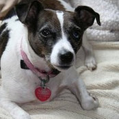 Erin Bolinger's photo