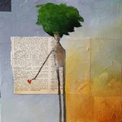 Stephanie Galland's photo