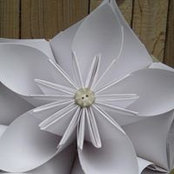 Amy Gilly's photo