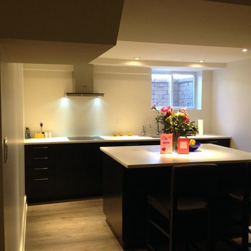 Oakville Contemporary Lower Level