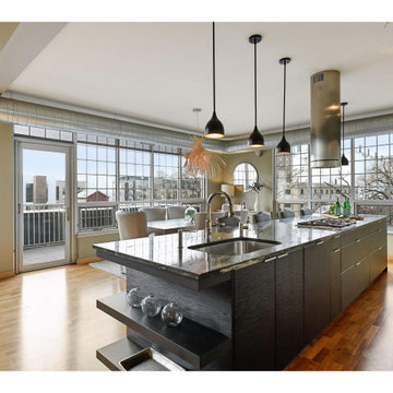 Minneapolis Contemporary Condo