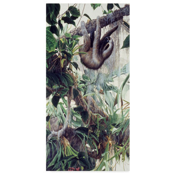Ron Parker 'Sloth' Canvas Art, 24"x12"