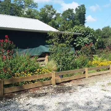 Rooterville Farm Animal Sanctuary