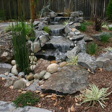 Water Feature